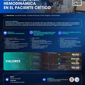 Curso Monitorización hemodinámica en el paciente crítico